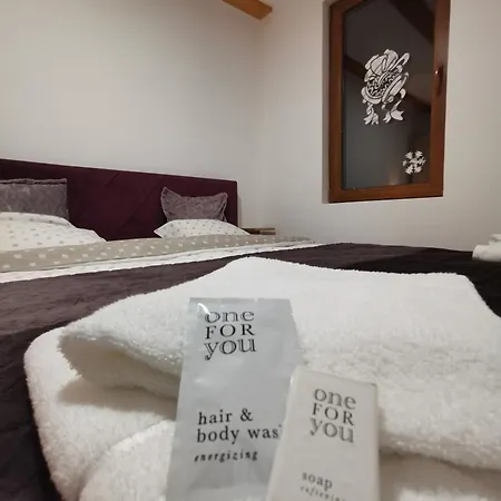 度假居 Brvnara Vidra *