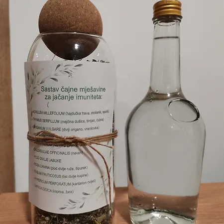 Brvnara Vidra *