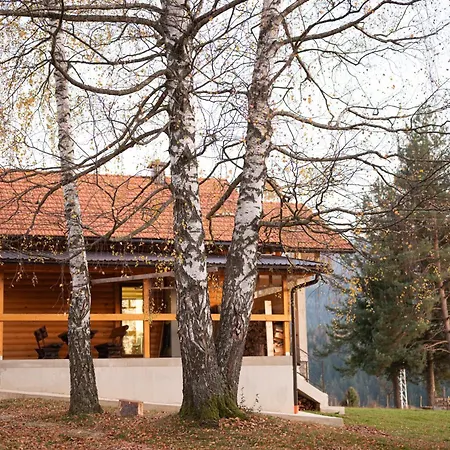Brvnara Vidra *