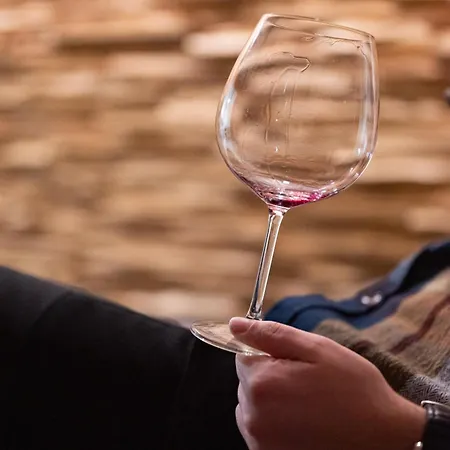 בית נופש Brvnara Vidra *