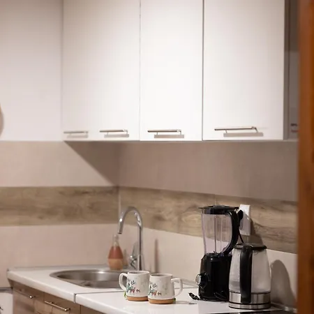 Brvnara Vidra 度假居 *